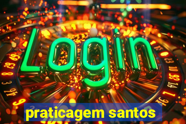 praticagem santos